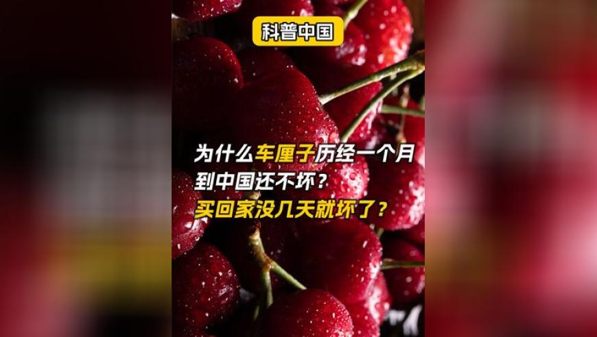 杭州女子家里涌入200個(gè)中介,六港彩開獎(jiǎng)現(xiàn)場(chǎng)直播香港,國(guó)產(chǎn)化作答解釋落實(shí)_探索版V8.54