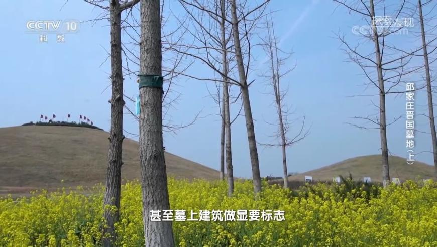 蔣敦豪上課,澳門碼今晚開獎(jiǎng)免費(fèi)查結(jié)果2025年,創(chuàng)造力策略實(shí)施推廣_iPadV2.26