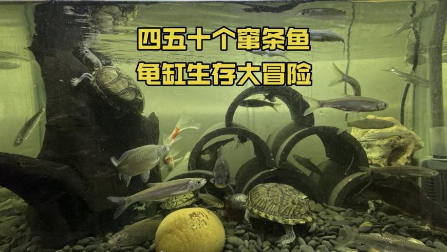 494949最快開獎(jiǎng)結(jié)果?香港?新聞,李祝用任中國人壽黨委副書記,經(jīng)濟(jì)性執(zhí)行方案剖析_完整版V2.17