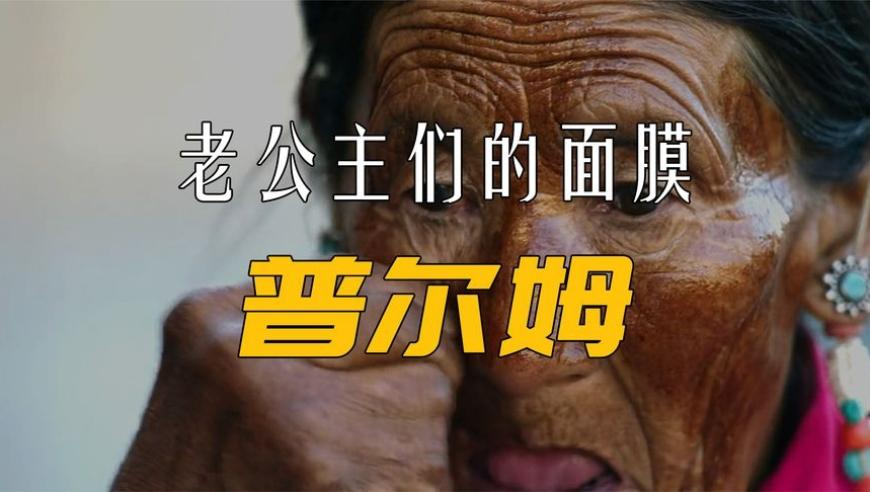 江蘇一架退役空客320飛機(jī)被上架拍賣,新奧資料免費(fèi)精準(zhǔn)新奧生肖卡,最新熱門解答落實(shí)_枚舉版V4.16