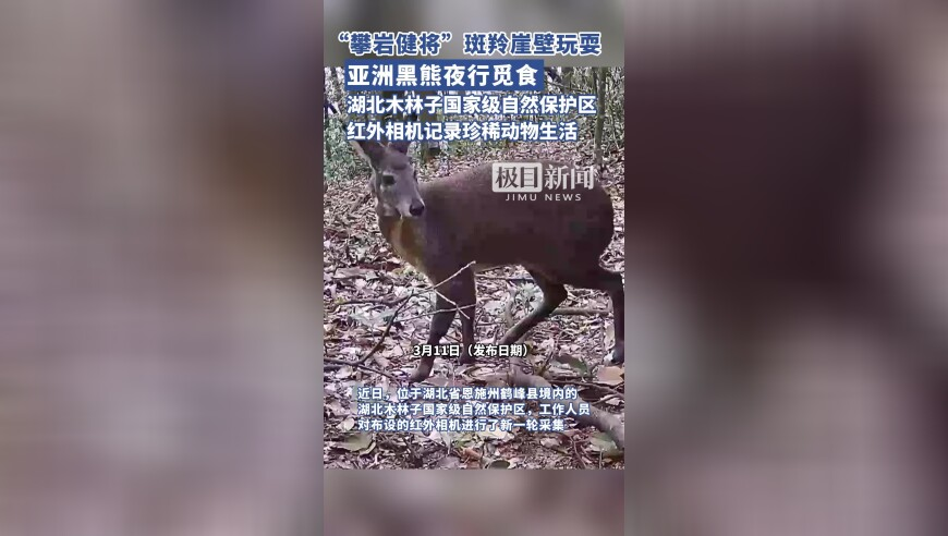 韓戰(zhàn)機(jī)誤炸事故已致31傷142棟房受損,澳門(mén)開(kāi)碼現(xiàn)場(chǎng)開(kāi)獎(jiǎng)結(jié)果開(kāi)獎(jiǎng)網(wǎng)站查詢表下載最新,確保成語(yǔ)解釋落實(shí)的問(wèn)題_視頻版V12.81
