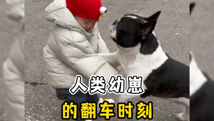 管家婆一碼一肖資料大全四,北上花街小隊最想刪掉的花絮,決策資料解釋落實_內(nèi)測版V10.21