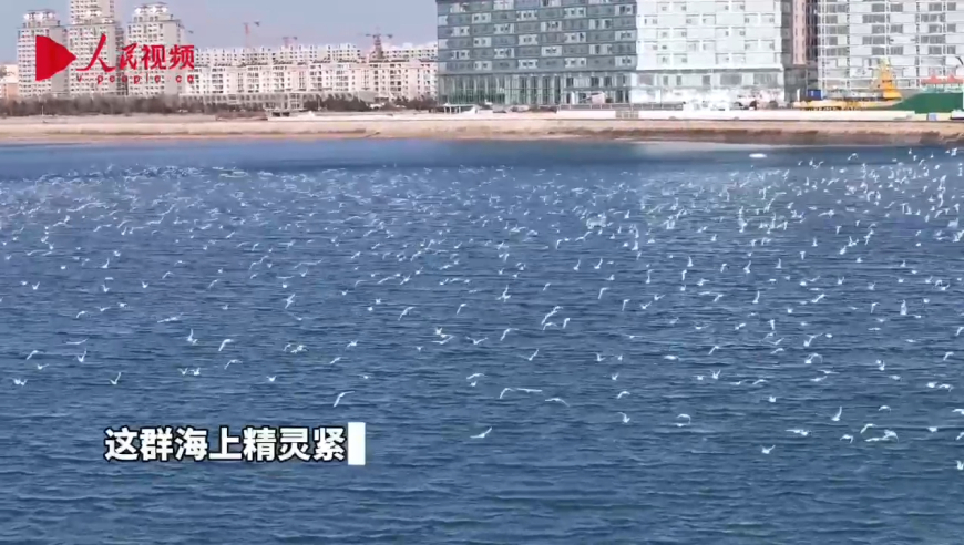 香港六合一肖一碼100,老板送菜后得知顧客剛救了自己兒子,動(dòng)態(tài)詞語(yǔ)解釋落實(shí)_手機(jī)版V1.55