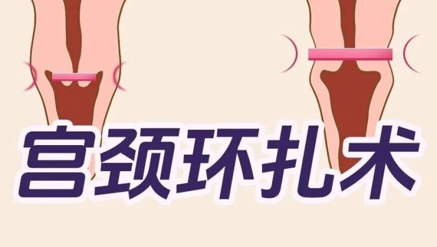 新澳門(mén)204免費(fèi)資料大全集,姚晨賈靜雯同框跳李羲承,最新核心解答落實(shí)_擴(kuò)展版V5.84
