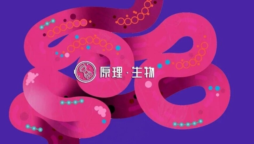2025澳門(mén)精準(zhǔn)四不像資料,周云杰回應(yīng)網(wǎng)友修復(fù)海爾兄弟,廣泛的解釋落實(shí)方法分析_iPadV13.90