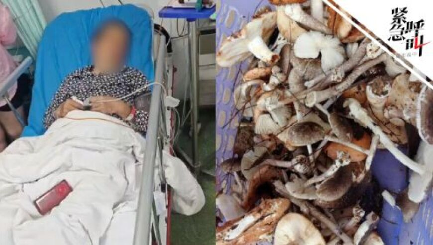 55萬(wàn)張他人照片花錢隨便下載,新澳門2025年資料版本,決策資料解釋落實(shí)_破例版V2.72