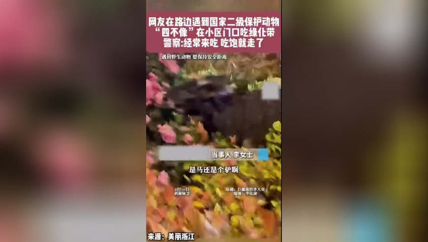 特朗普指定加密貨幣納入儲(chǔ)備,2025新奧歷史開(kāi)獎(jiǎng)記錄澳門一碼一肖一特一中新澳彩資料免費(fèi)長(zhǎng)期公開(kāi)二四六,國(guó)產(chǎn)化作答解釋落實(shí)_iPadV12.86